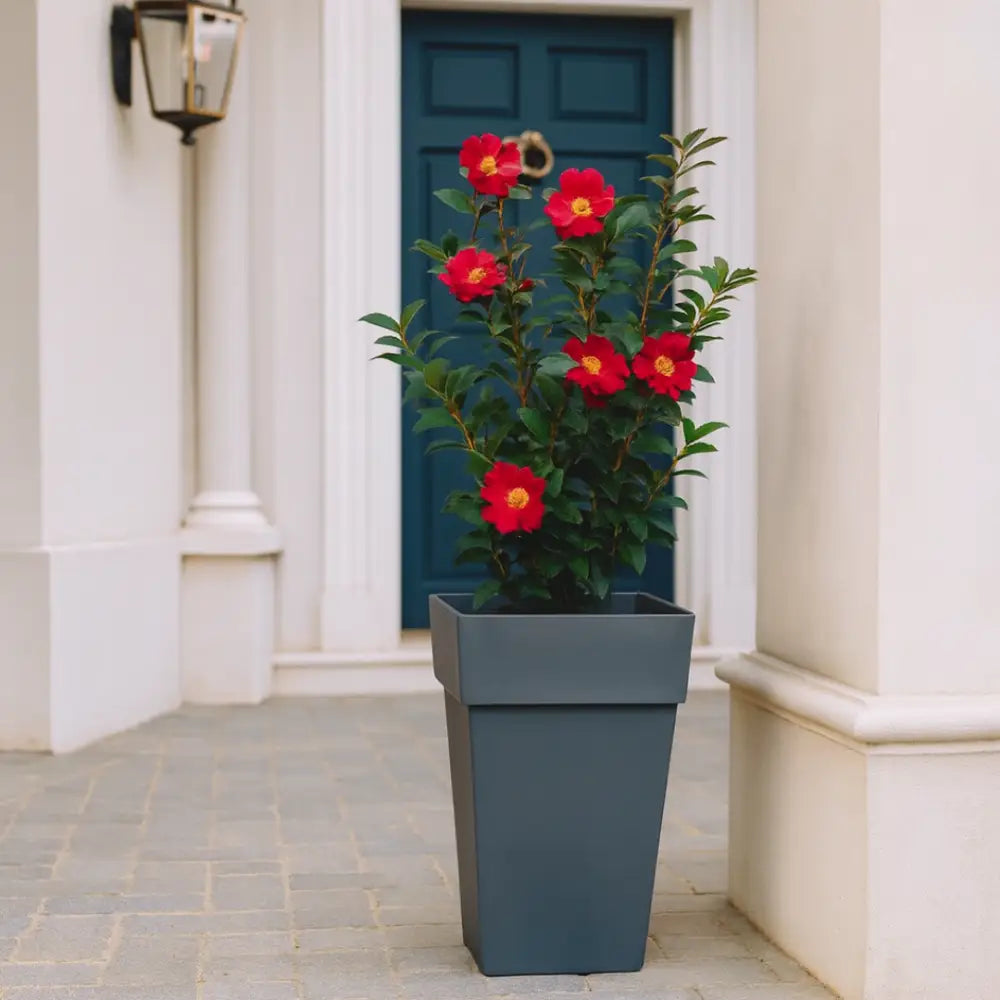 Pot de fleur carré anthracite