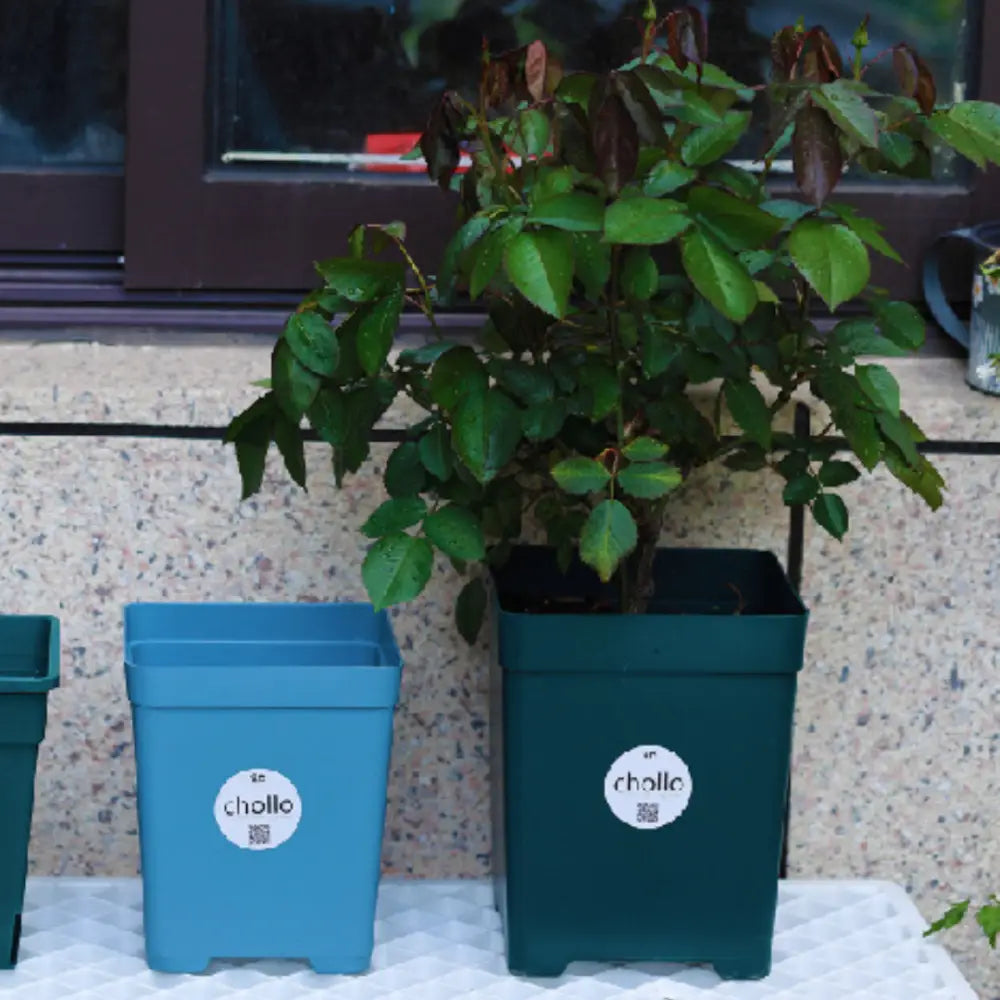 Pot de fleur carré en plastique