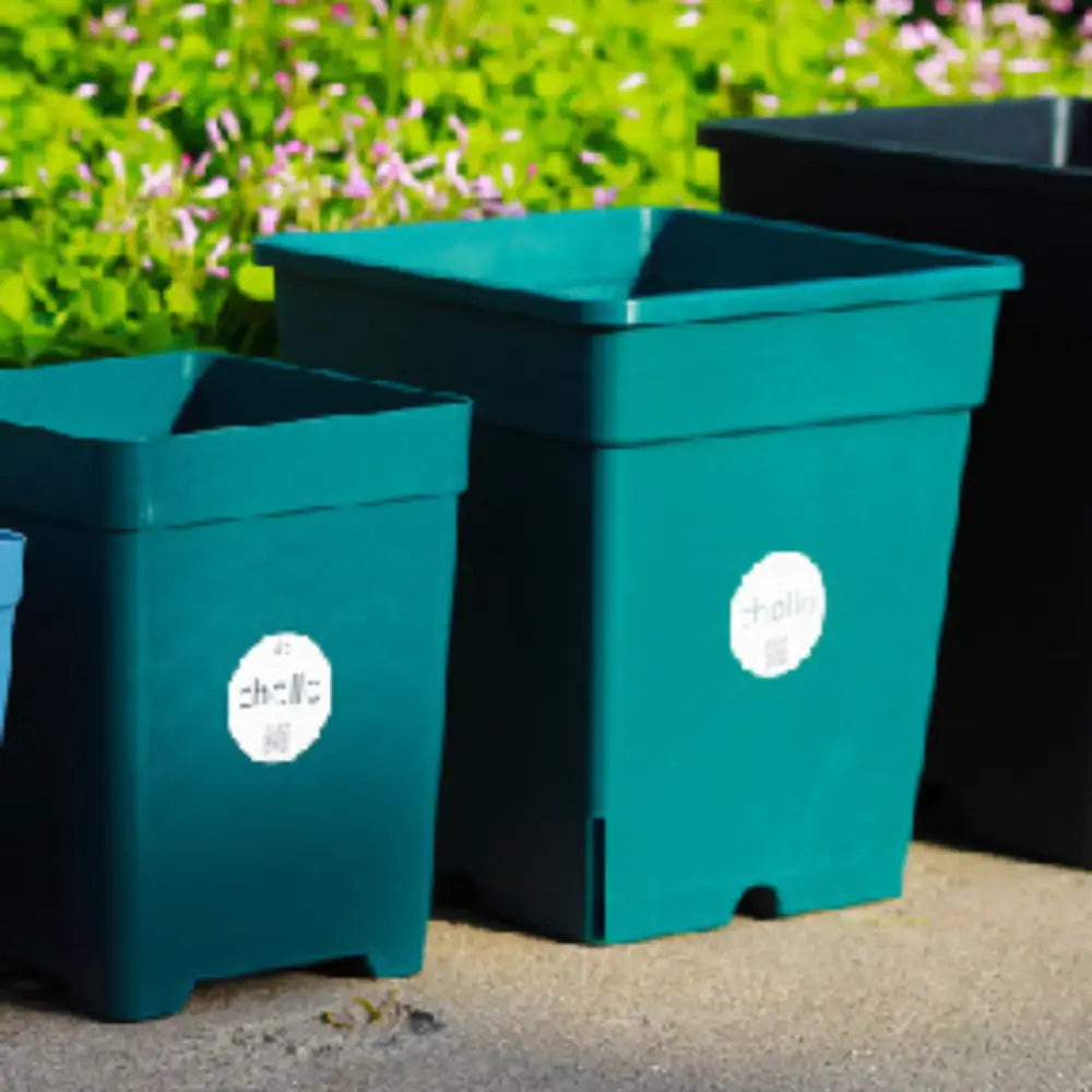 Pot de fleur carré en plastique