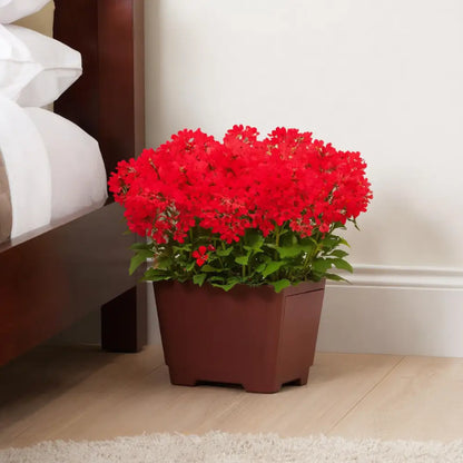 Pot de fleur carré en résine