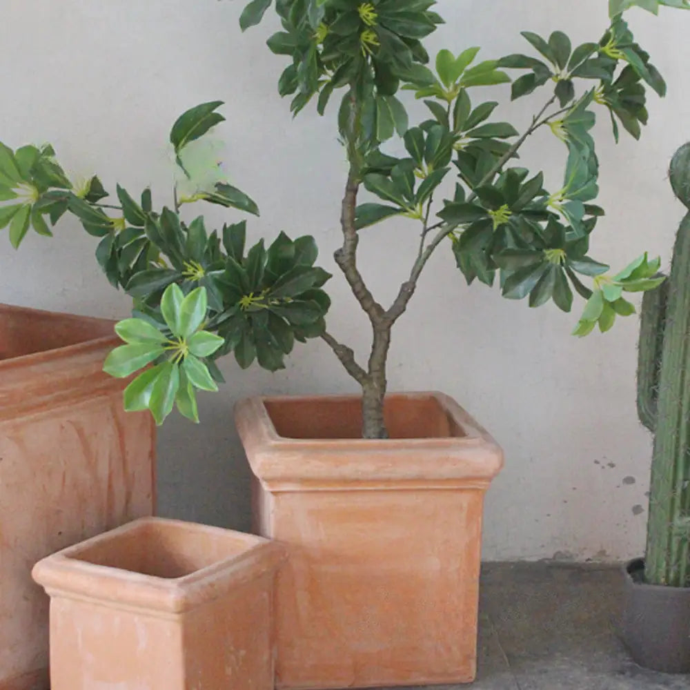 Pot de fleur carré en terre cuite