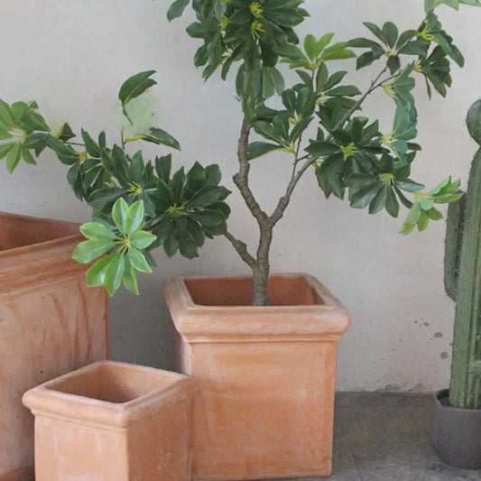 Pot de fleur carré en terre cuite