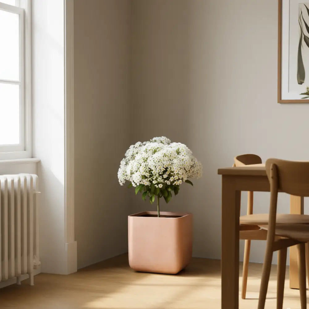 Pot de fleur carré grande taille