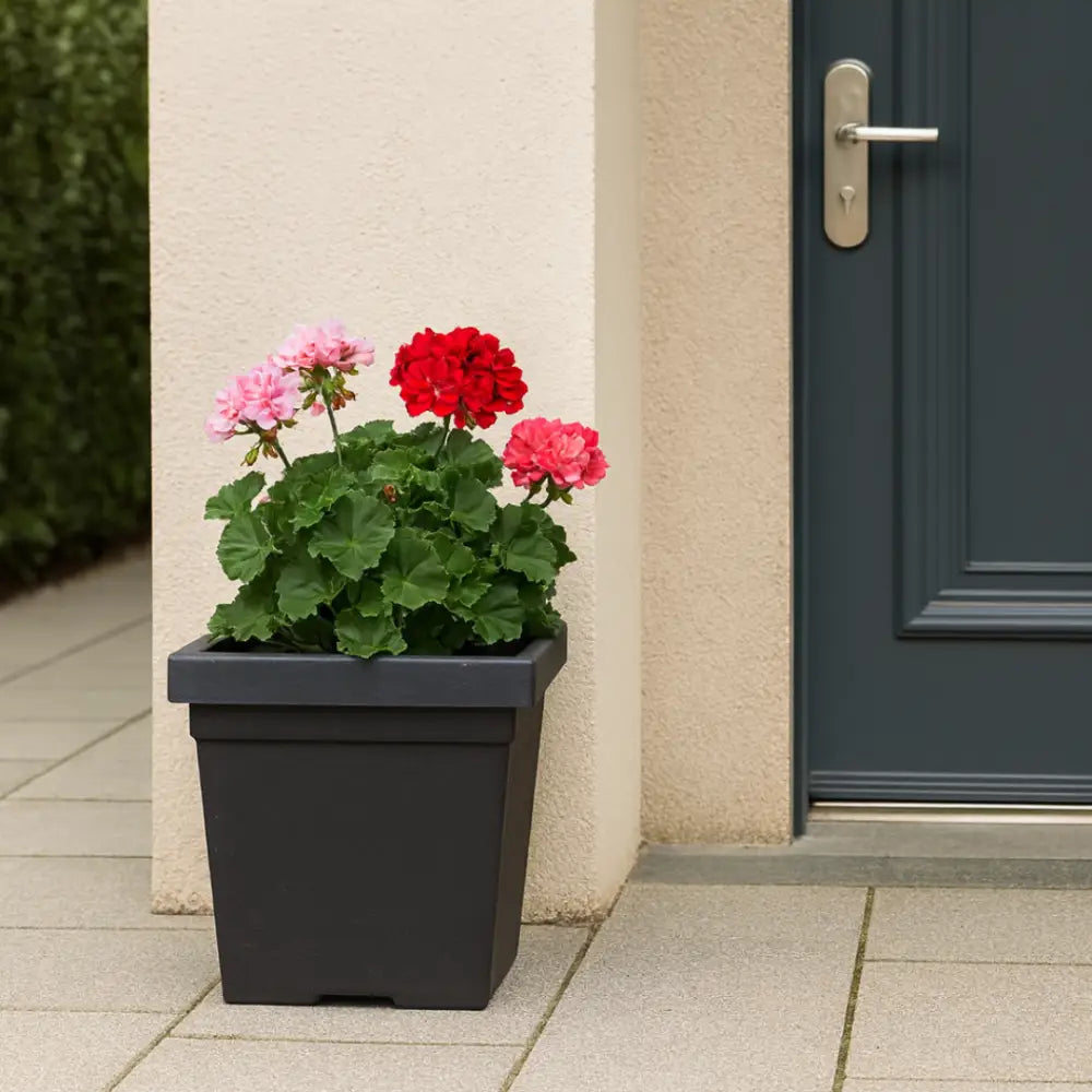 Pot de fleur carré noir