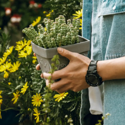 Pot de fleur carré pas cher