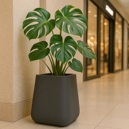 Pot de fleur carré XXL