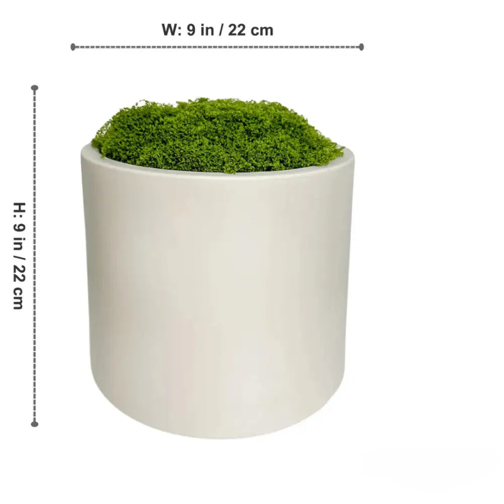 Pot de fleur céramique blanc