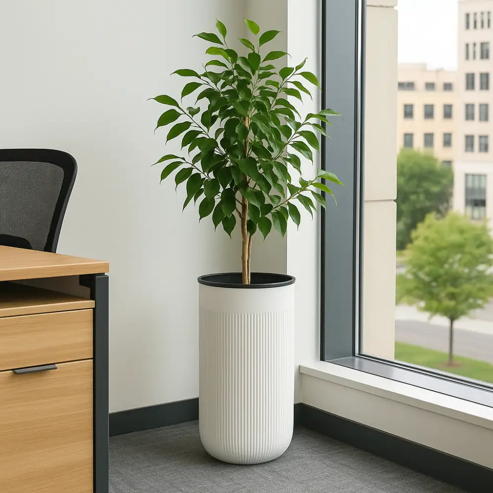 Pot de fleur cylindrique plastique