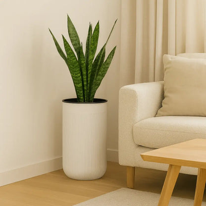 Pot de fleur cylindrique plastique