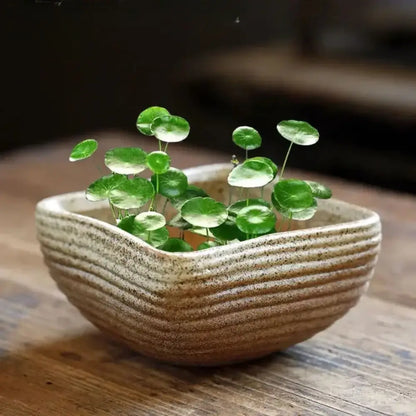 Pot de fleur décoratif intérieur