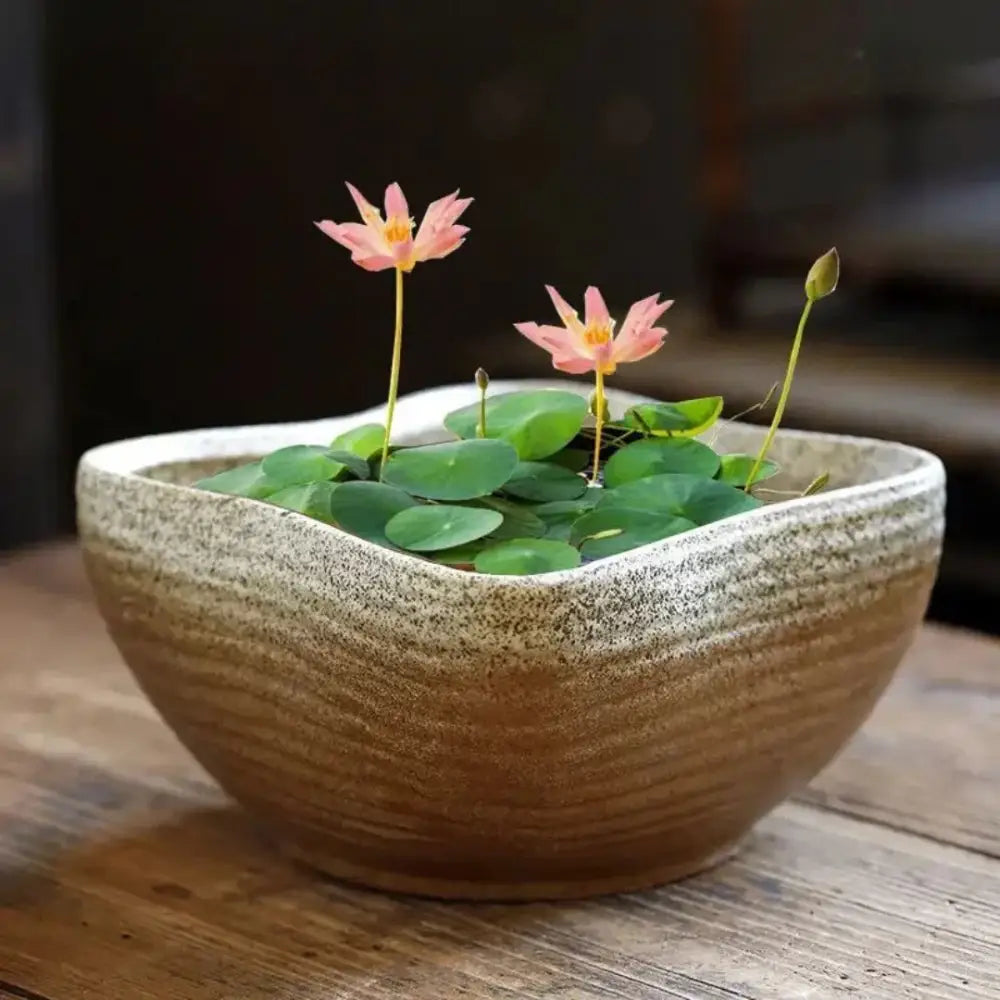 Pot de fleur décoratif intérieur