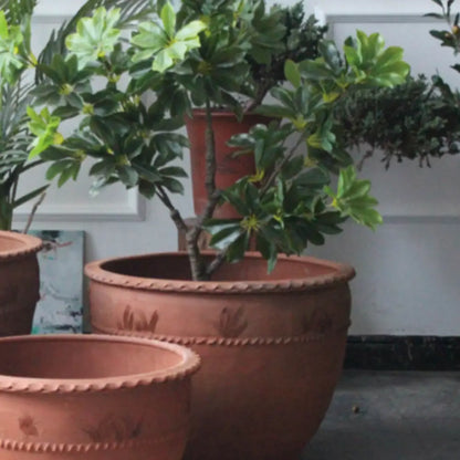 Pot de fleur diamètre 70 cm terre cuite