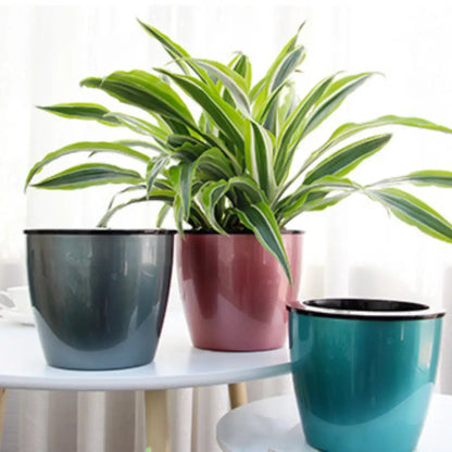 Pot de fleur en plastique de couleur