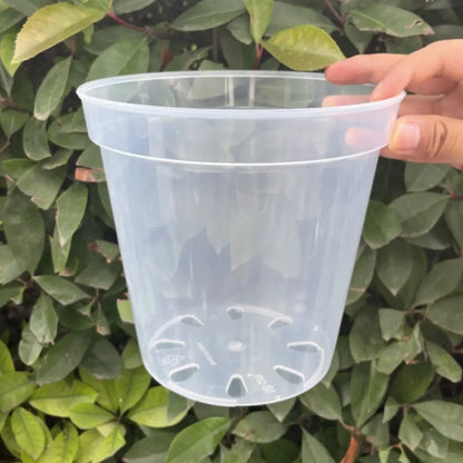 Pot de fleur en plastique transparent