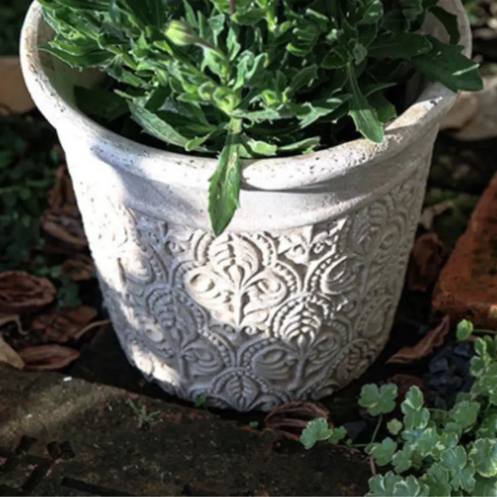 Pot de fleur en terre cuite blanc