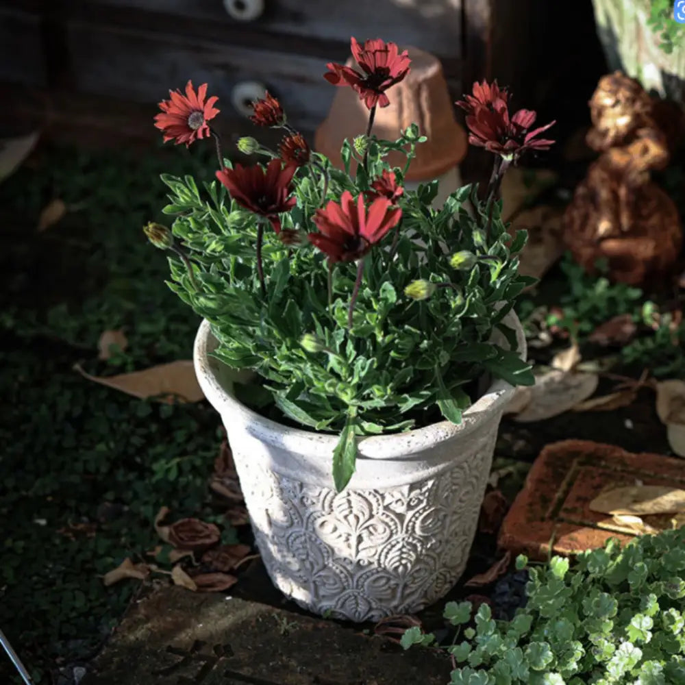 Pot de fleur en terre cuite blanc