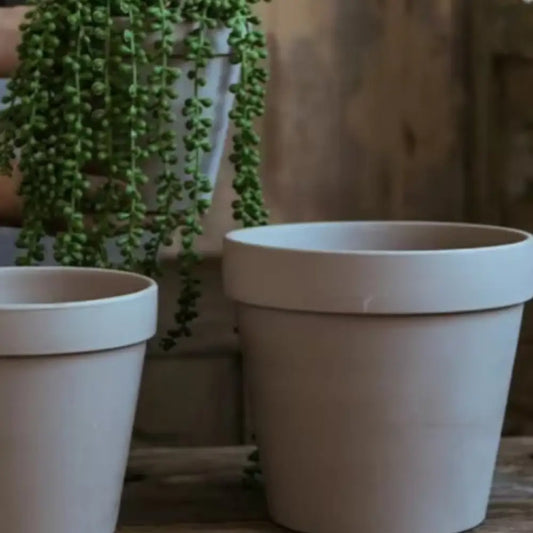 Lot de 12 pot de fleur en terre cuite gris