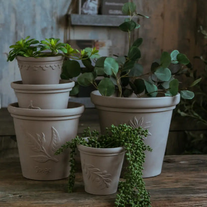 Lot de 12 pot de fleur en terre cuite gris