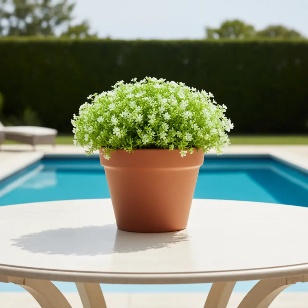 Pot de fleur en terre cuite pas cher