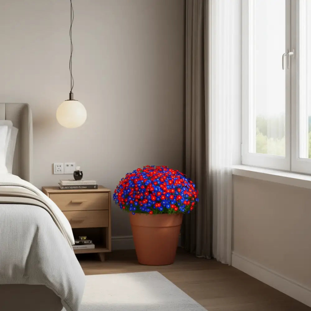 Pot de fleur en terre cuite pas cher