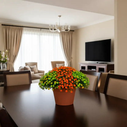 Pot de fleur en terre cuite pas cher