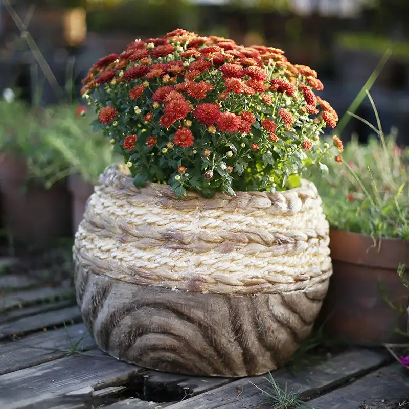 Pot de fleur extérieur design