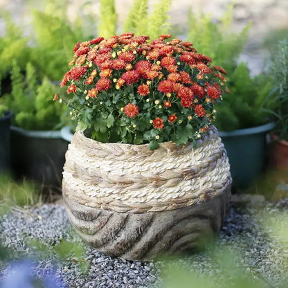 Pot de fleur extérieur design