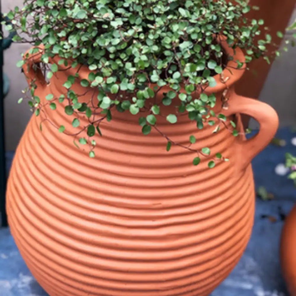 Pot de fleur extérieur grande taille terre cuite