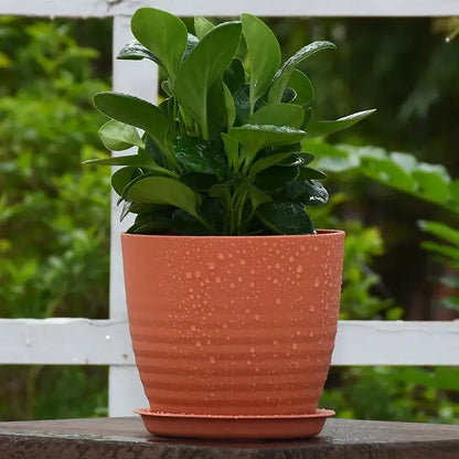 Pot de fleur extérieur pas cher