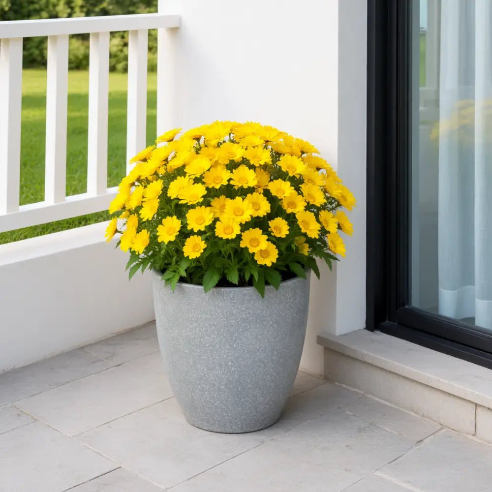 Pot de fleur extérieur plastique gris