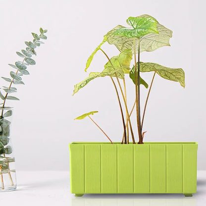 Pot de fleur extérieur rectangulaire