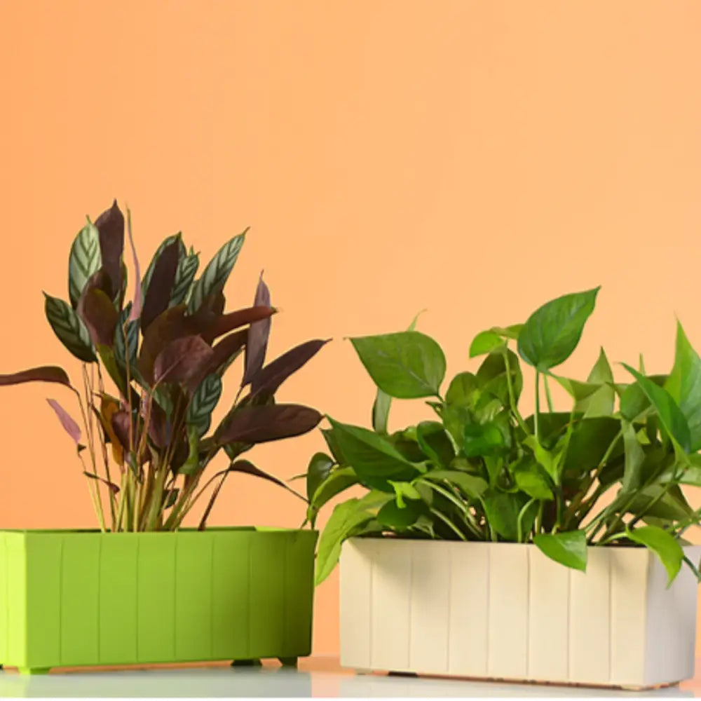 Pot de fleur extérieur rectangulaire