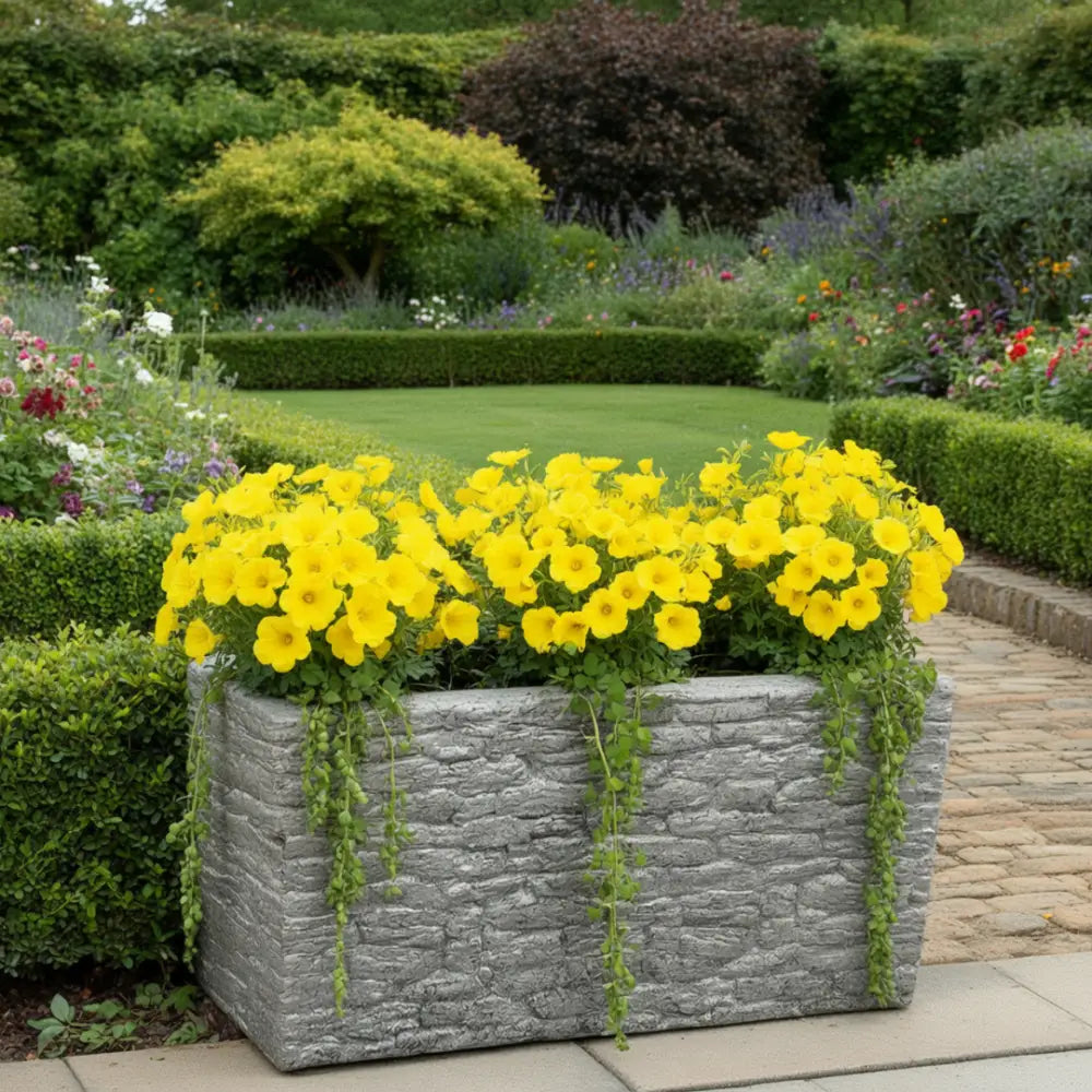 Pot de fleur géant rectangulaire