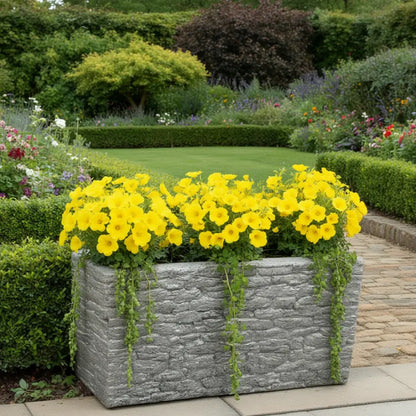 Pot de fleur géant rectangulaire