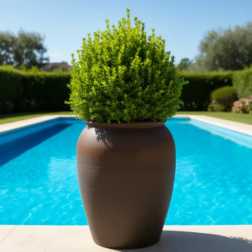 Pot de fleur géant terre cuite