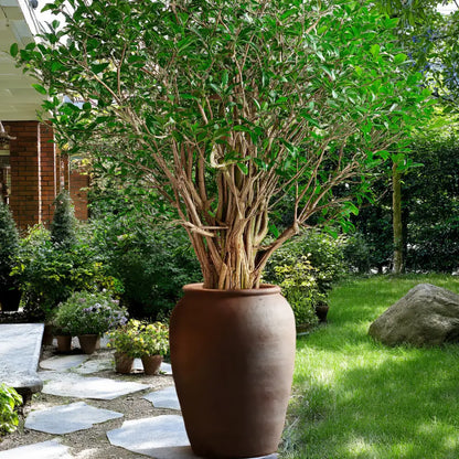 Pot de fleur géant terre cuite