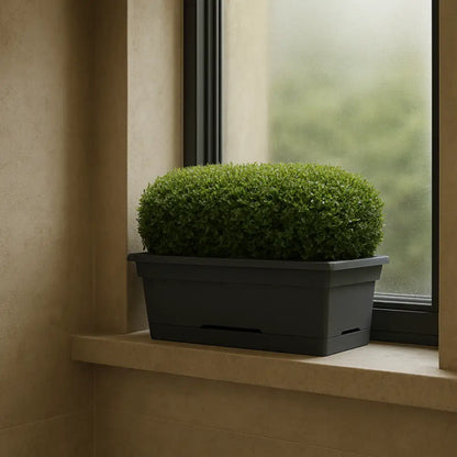 Pot de fleur gris anthracite rectangulaire