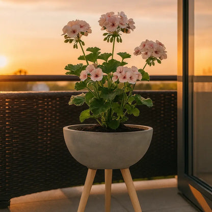 Pot de fleur haut sur pied