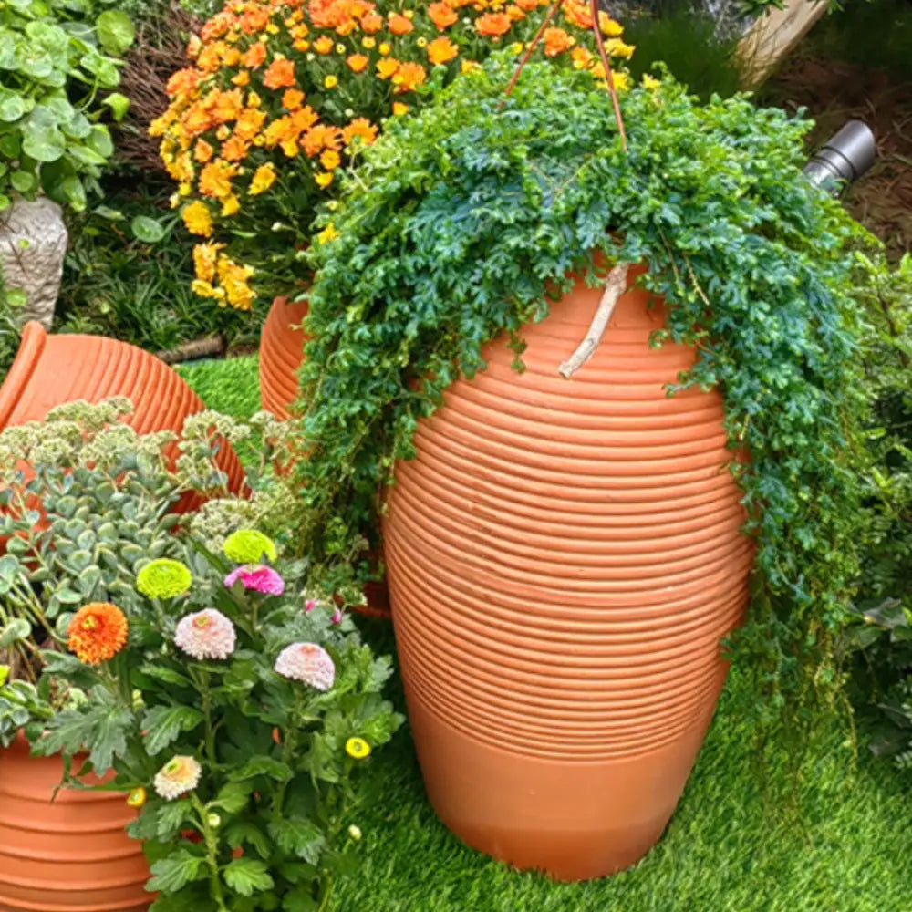 Pot de fleur haut terre cuite