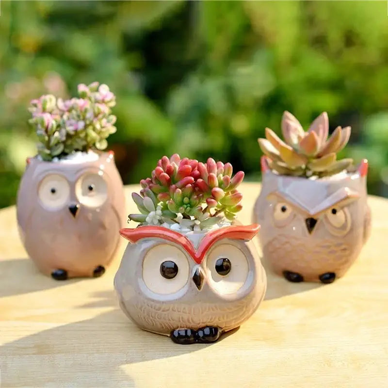 Pot de fleur hibou