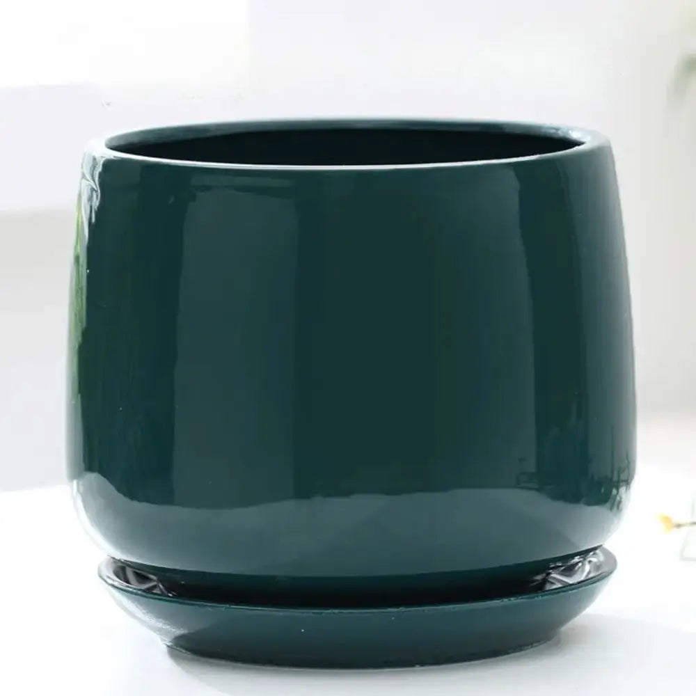 Pot de fleur intérieur céramique