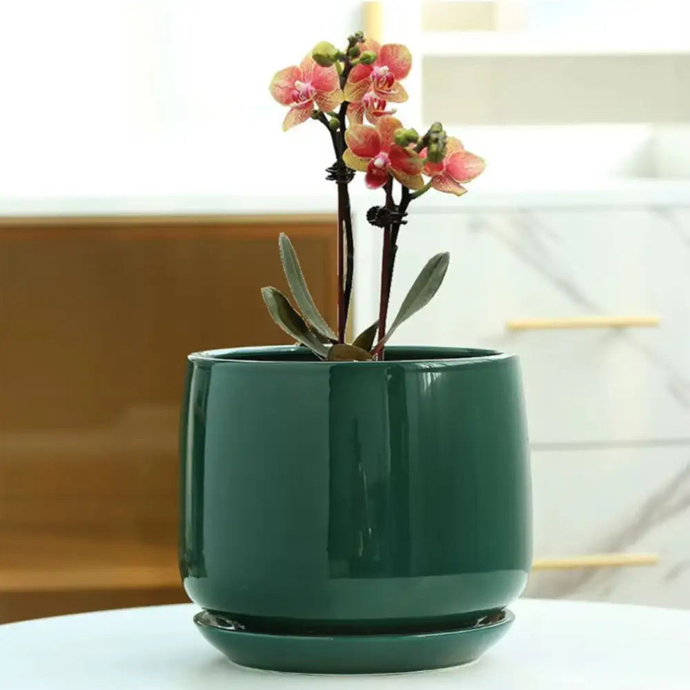 Pot de fleur intérieur céramique