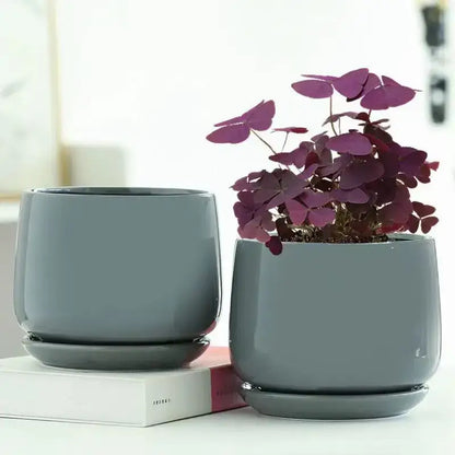Pot de fleur intérieur céramique