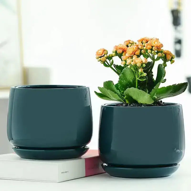 Pot de fleur intérieur céramique
