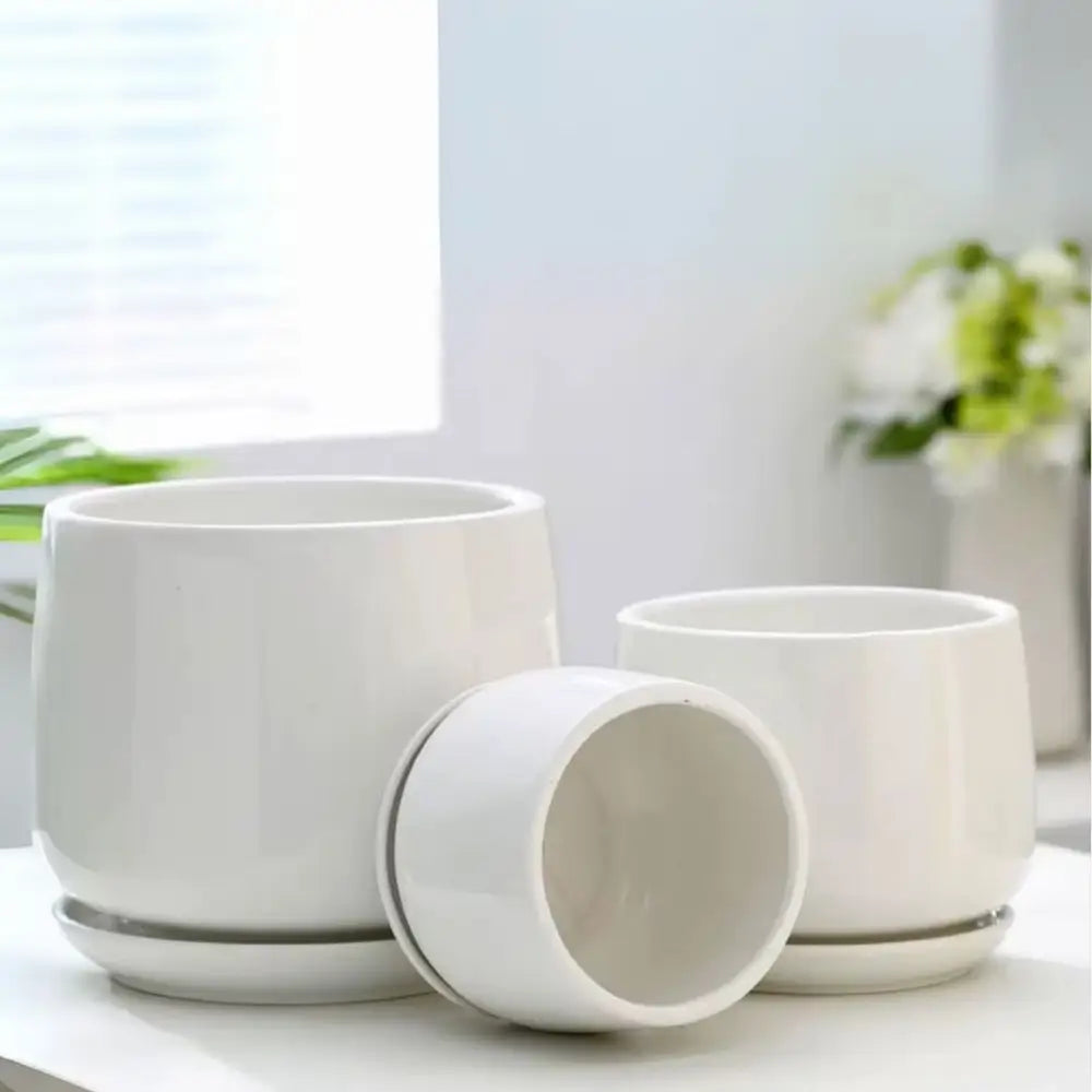 Pot de fleur intérieur céramique