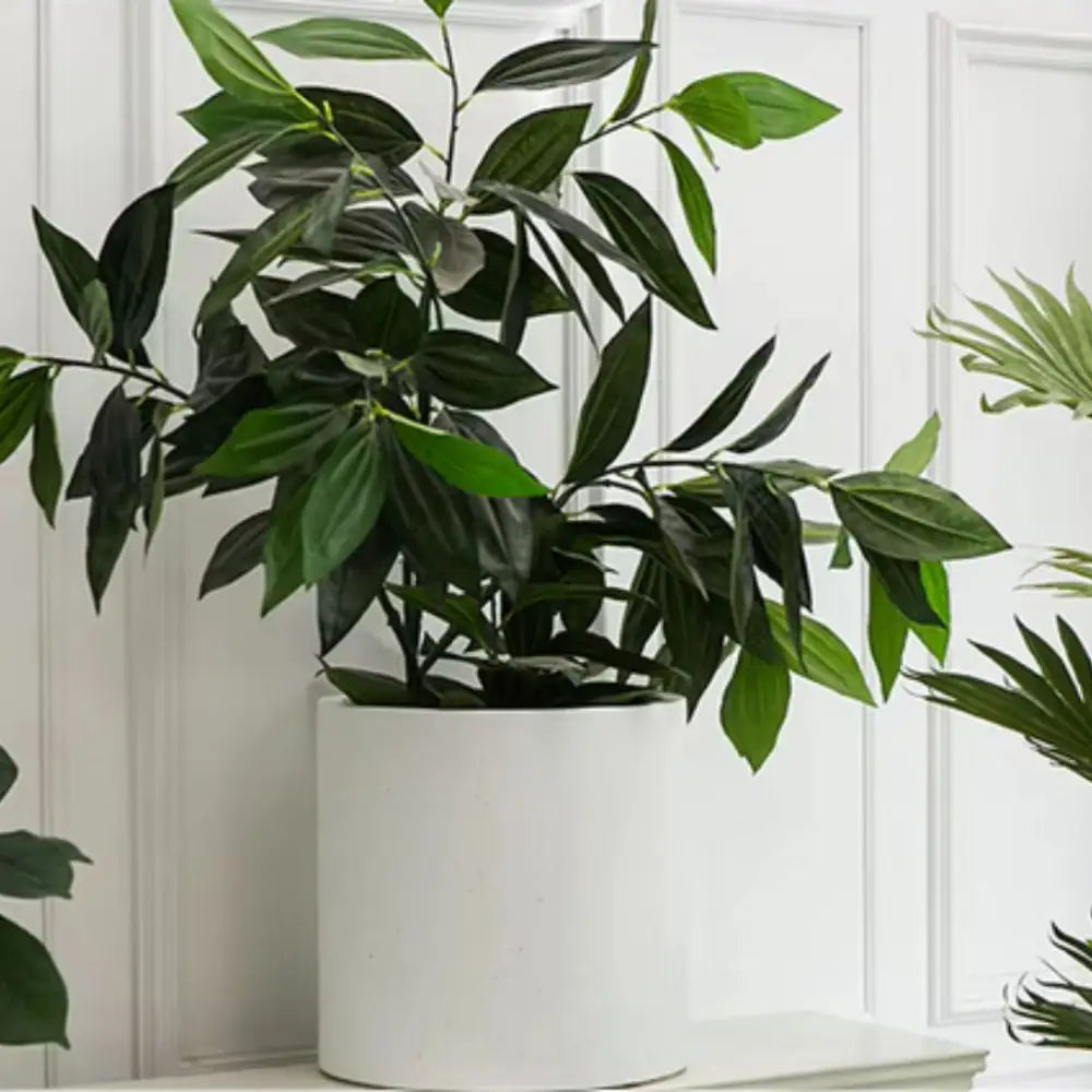 Pot de fleur intérieur diamètre 40 cm