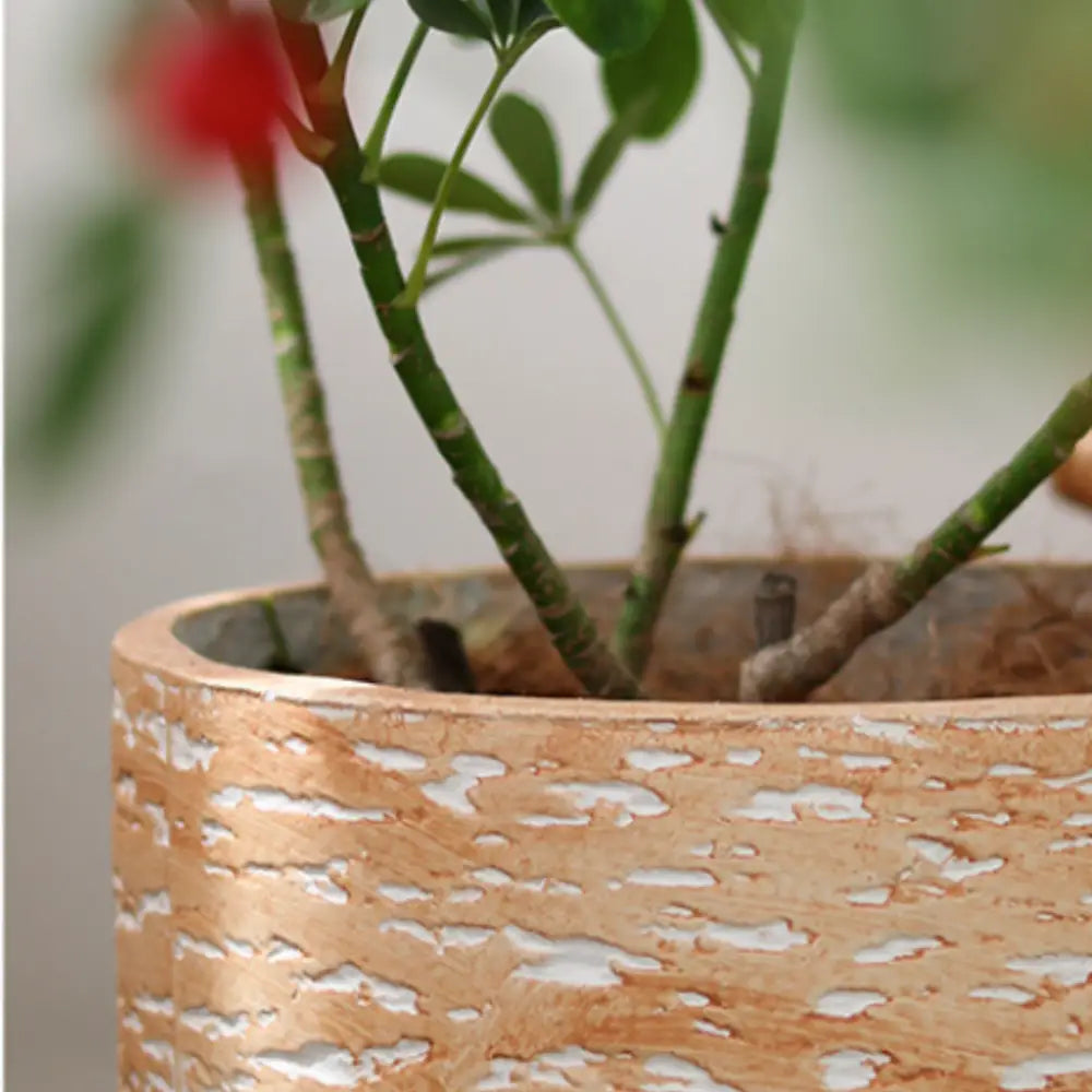 Pot de fleur intérieur sur pied