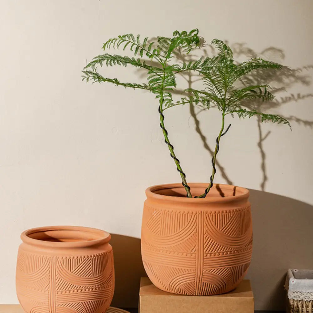 Pot de fleur intérieur terre cuite
