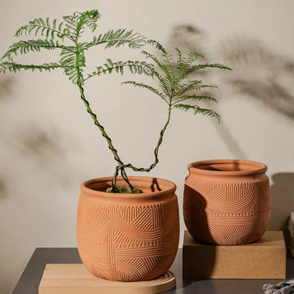 Pot de fleur intérieur terre cuite