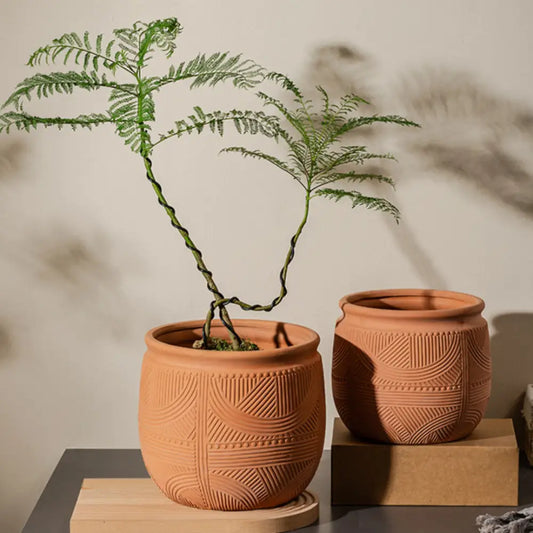 Pot de fleur intérieur terre cuite
